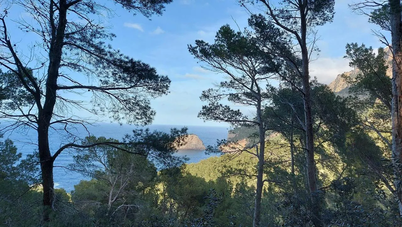 Ferienhaus Villa Ideal Sóller